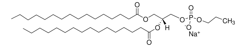 Merck 16:0 Phosphatidylpropanol