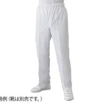 AS ONE Cleanroom Trousers·FD300A(for Man·White), 방진복FD300A(바지·남자·화이트)