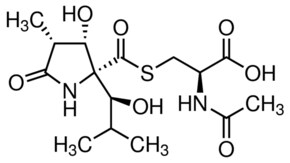 Merck LACTACYSTIN