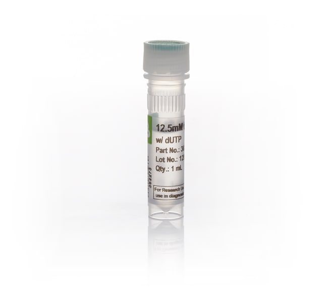 Thermo Fisher Scientific GeneAmp dNTP Blend with dUTP (12.5 mM)