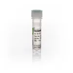 Thermo Fisher Scientific GeneAmp dNTP Blend with dUTP (12.5 mM)