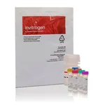Thermo Fisher Scientific EnzChek Caspase-3 Activity Assay Kits, 500 assays