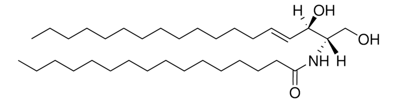 Merck Ceramide (Egg)