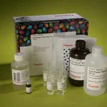 Thermo Fisher Scientific SuperSignal West HisProbe Kit