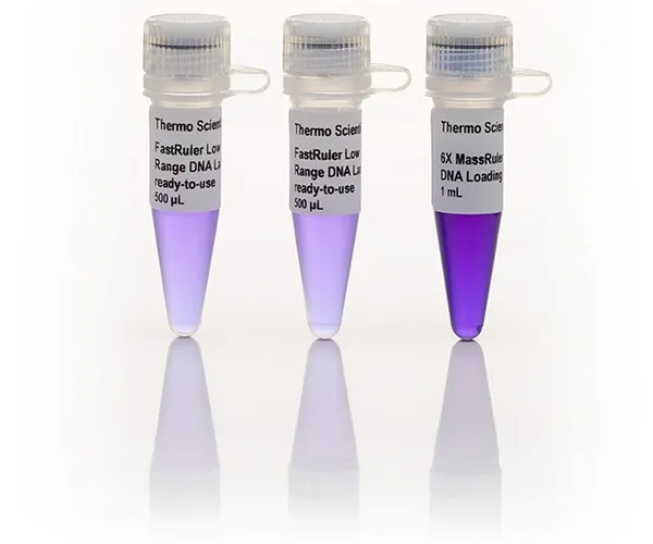 Thermo Fisher Scientific FastRuler High Range DNA Ladder, ready-to-use