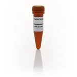 Thermo Fisher Scientific Fluorescein-12-dUTP Solution (1 mM)