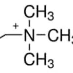 Merck CHOLINE CHLORIDE