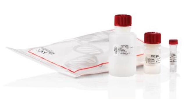 Thermo Fisher Scientific Axiom 2.0 Reagent Kit