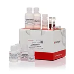 Thermo Fisher Scientific ChargeSwitch Plasmid ER Mini Kit