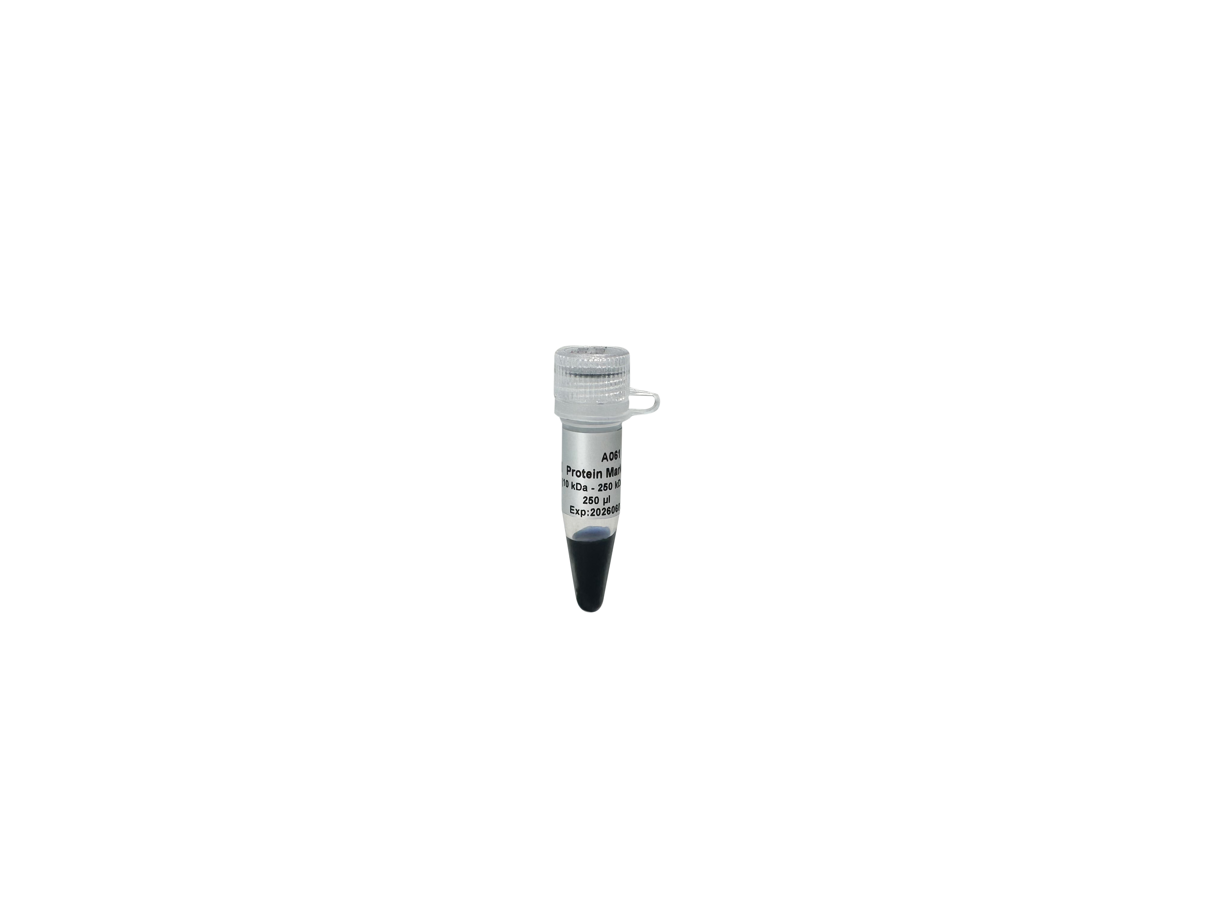 Blue Plus® Ⅵ Protein Marker (10-250 kDa)