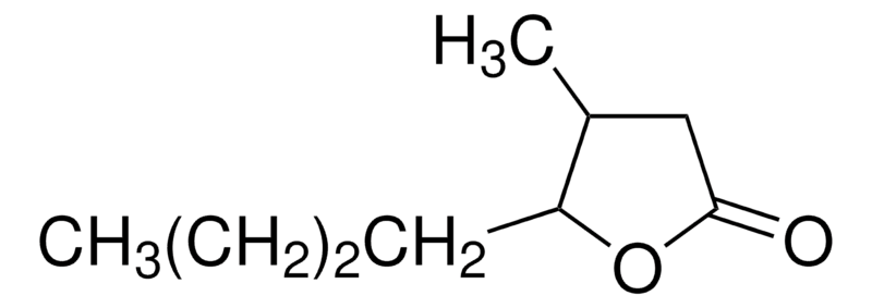 Merck Whiskey lactone