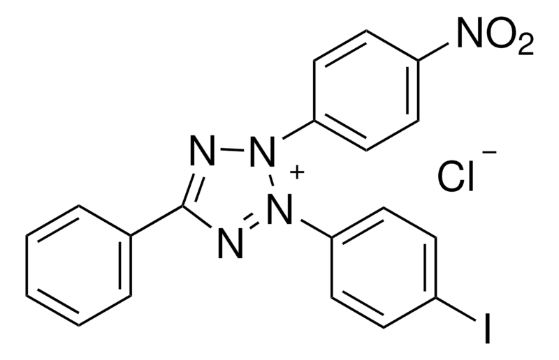 Merck Iodonitrotetrazolium chloride