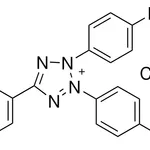 Merck Iodonitrotetrazolium chloride