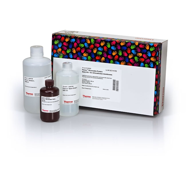 Thermo Fisher Scientific Pierce Reversible Protein Stain Kit for Nitrocellulose Membranes