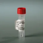 Thermo Fisher Scientific DyLight 550 NHS Ester, 1 mg