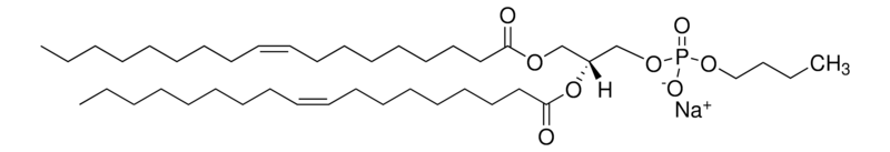 Merck 18:1 Phosphatidylbutanol