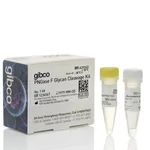 Thermo Fisher Scientific PNGase F Glycan Cleavage Kit