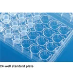 BRANDplate Cell Culture Plate & Insert 셀 컬쳐 플레이트와 인써트