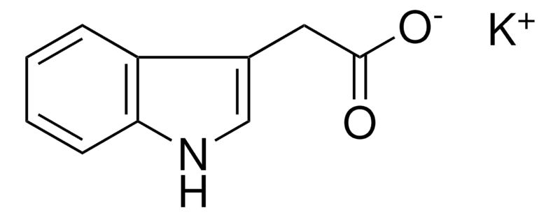 Merck POTASSIUM, (1H-INDOL-3-YL)-ACETA-