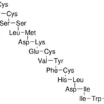 Merck ENDOTHELIN 1 HUMAN, PORCINE