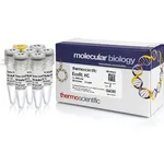 Thermo Fisher Scientific EcoRI, HC (50 U/μL)