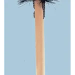 Thermo Fisher Scientific Beakers Brush