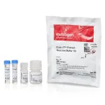 Thermo Fisher Scientific Click-iT Protein Reaction Buffer Kit