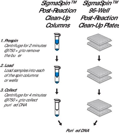 Merck SigmaSpin(TM) Sequencing Reaction Clean-Up