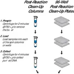 Merck SigmaSpin(TM) Sequencing Reaction Clean-Up