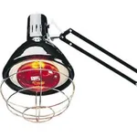 Thermo Fisher Scientific Replacement bulb for infrared heating lamp, 250 watts