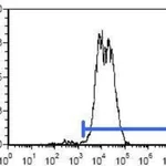 Thermo Fisher Scientific Mouse anti-Rat IgG2b Secondary Antibody