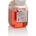 Thermo Fisher Scientific Advanced RPMI 1640 Medium, 500 mL