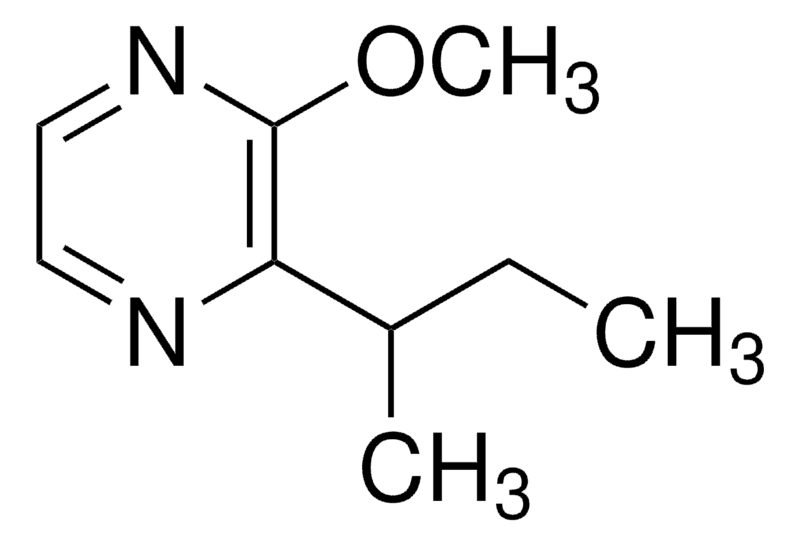 Merck 2-Methoxy-3-(1-methylpropyl)pyrazine