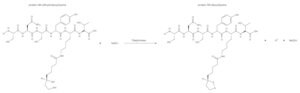 Merck DIAPHORASE, FROM CLOSTRIDIUM KLUYVERI&