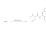 Merck DIAPHORASE, FROM CLOSTRIDIUM KLUYVERI&