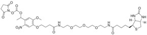 Merck PC BIOTIN-PEG3-NHS ESTER