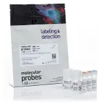 Thermo Fisher Scientific Click-iT Plus Alexa Fluor 488 Picolyl Azide Toolkit