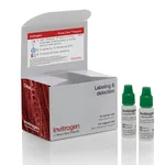 Thermo Fisher Scientific Annexin V Alexa Fluor 488 Ready Flow Conjugate, 120 reactions