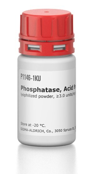 Merck PHOSPHATASE, ACID TYPE IV-S FROM POTATO