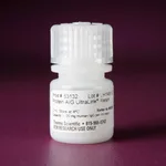 Thermo Fisher Scientific Pierce Protein A/G UltraLink Resin, 2 mL
