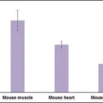 Merck SOLUBLE COLLAGEN QUANTIFICATION ASSAY KI