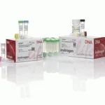 Thermo Fisher Scientific GeneArt Seamless PLUS Cloning and Assembly Kit