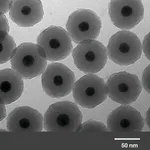 Merck GOLD NANOPARTICLES, 20 NM DIAMETER, SIL&