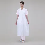 AS ONE Apron PE PROSHARE, 앞치마 PE 프로쉐어