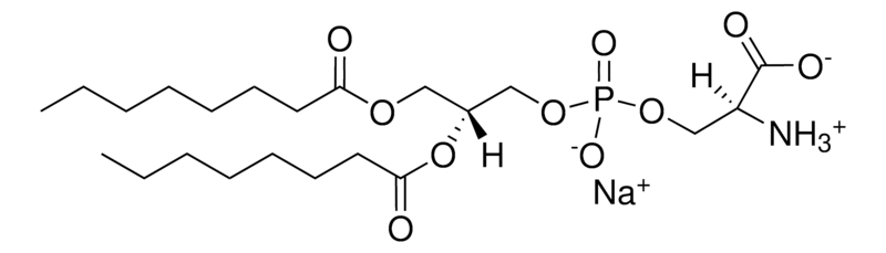 Merck 08:0 PS