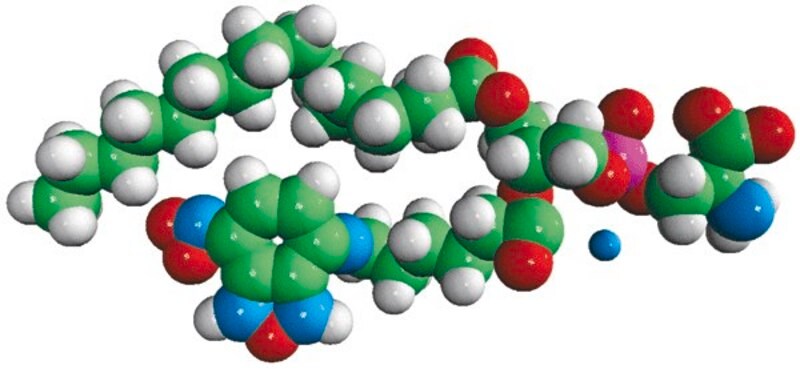 Merck 16:0-06:0 NBD PS