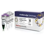 Thermo Fisher Scientific FastDigest BveI