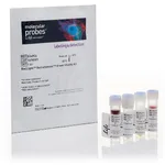 Thermo Fisher Scientific BacLight RedoxSensor Green Vitality Kit