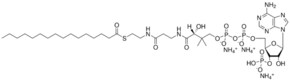 Merck 16:0 COENZYME A