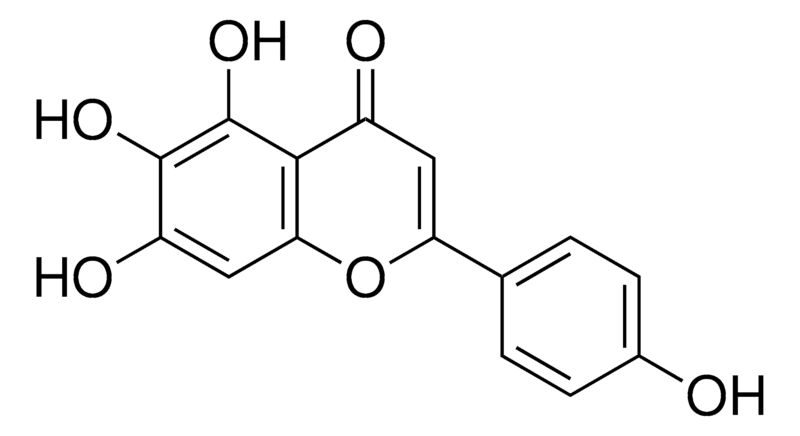 Merck Scutellarein